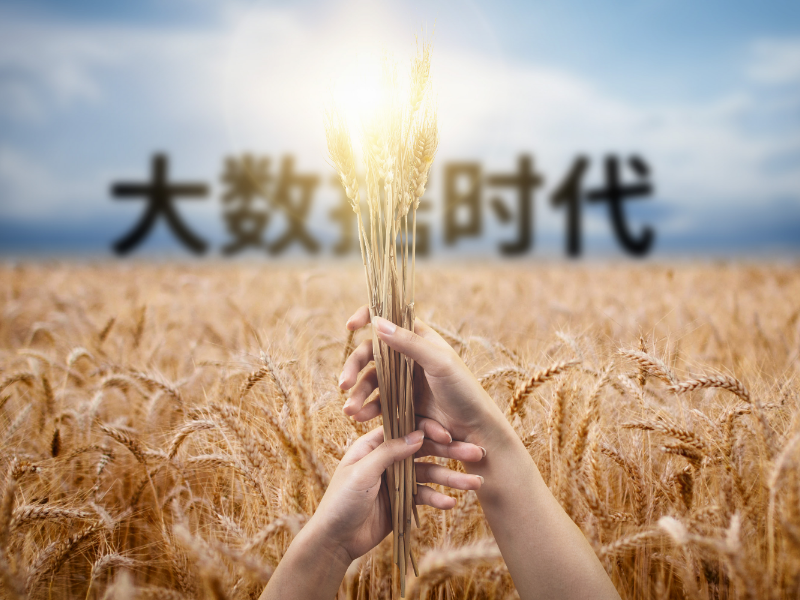 大数据技术之Hive中的Timestamp类型日期与Impala中显示不一致分析