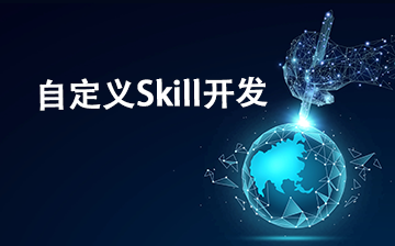 【AI大模型框架视频教程】自定义Skill开发_AI大模型课程