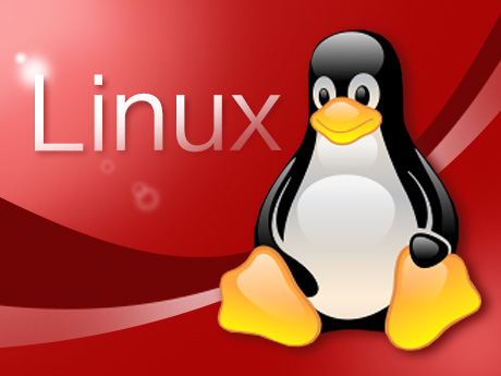 Linux操作系统