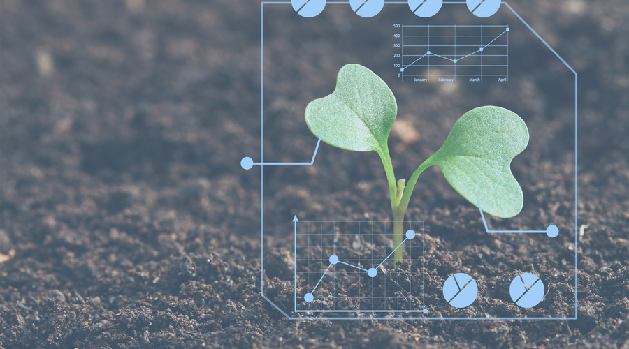 JAVA从入门到精通之基于 IntelliJ IDEA 模拟 Servlet 网络请求示例