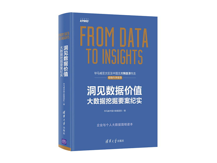 洞见数据价值：大数据挖掘要案纪实  毕马威中国大数据团队 著   清华大学出版社