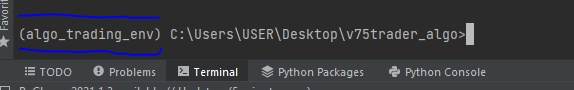 python入门到精通--教你快速创建 Python 虚拟环境