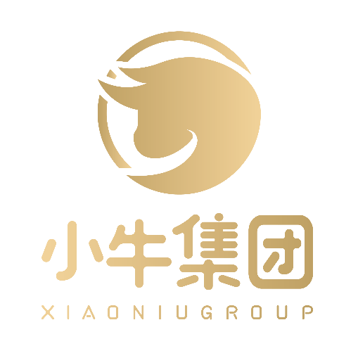 上海潇牛信息科技有限公司